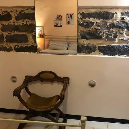 Trezza * אנלציט